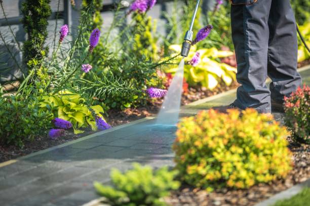 Best Brick and Stone Cleaning in Battle Ground, IN